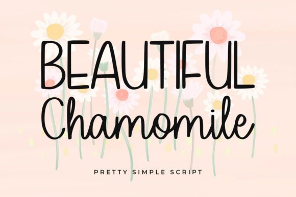 Download Beautiful Chamomile - Beautiful Collection
