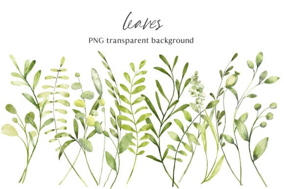 Download Leaves, Watercolor Clipart, PNG Files. - Premium Resources
